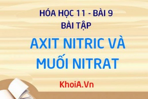Bài tập về Axit Nitric HNO3 và Muối Nitrat: Giải bài tập 1, 2, 3, 4, 5, 6, 7 trang 45 SGK Hóa 11 bài 9